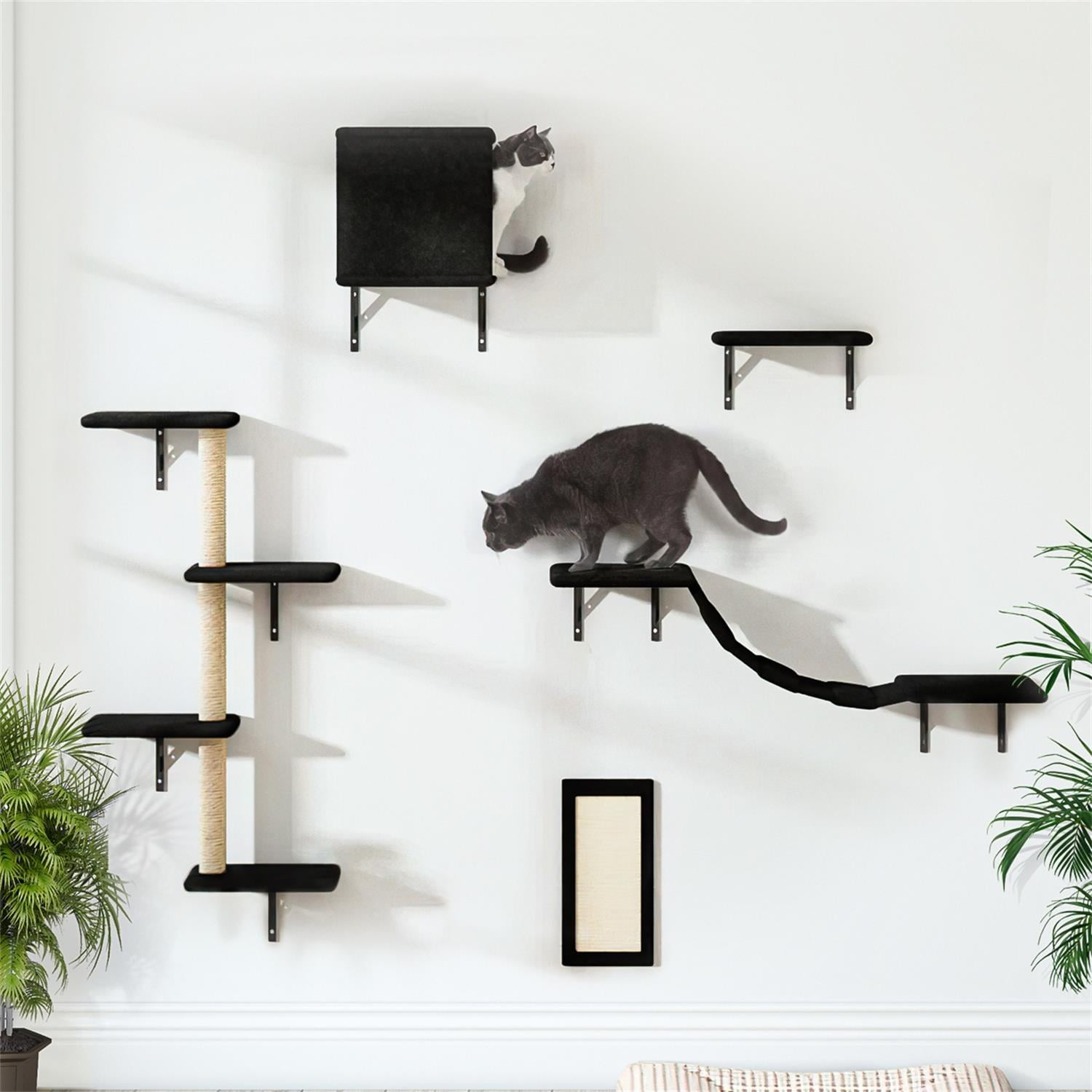 Black Cat Tree Wall Set for Multiple Cats