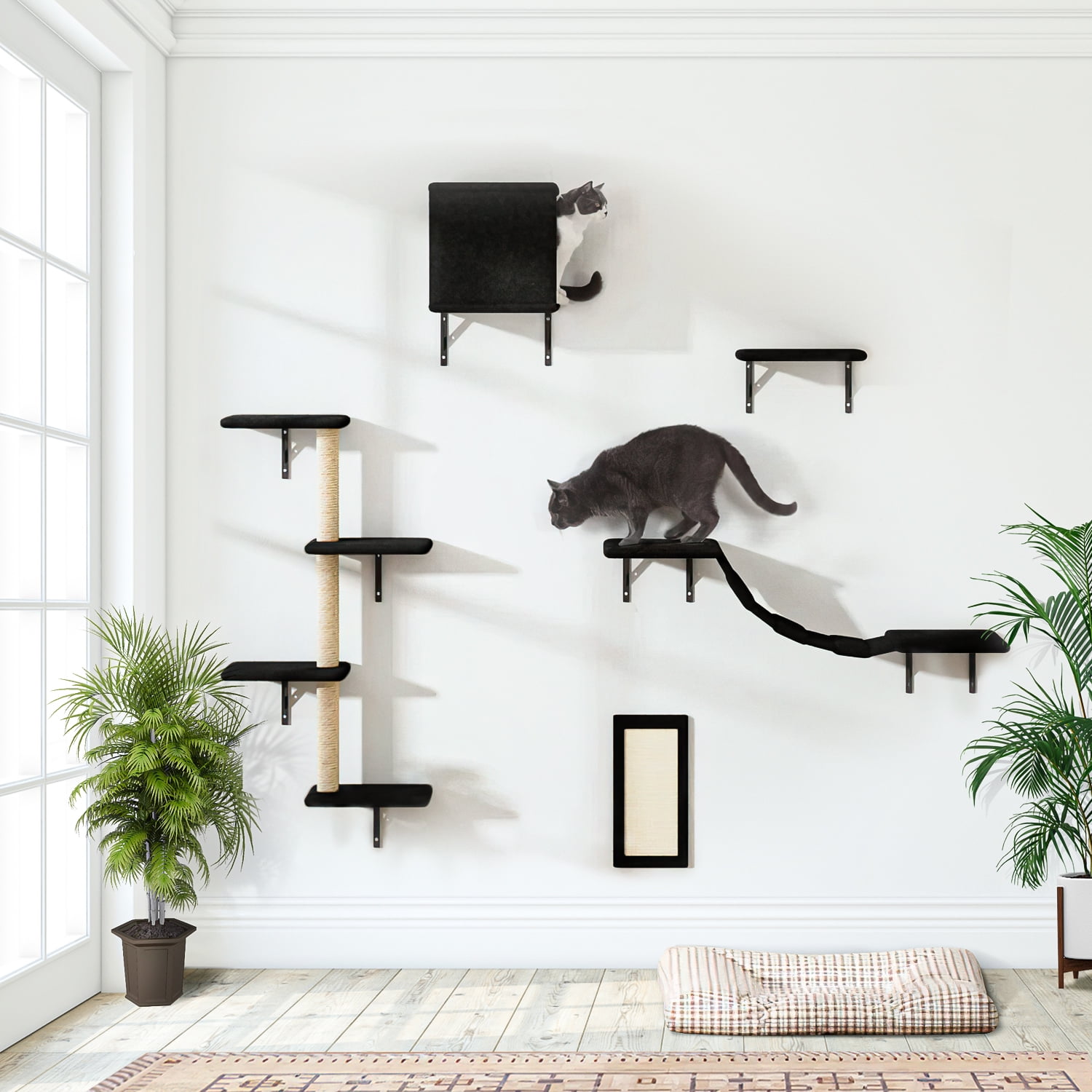 Black Cat Tree Wall Set for Multiple Cats