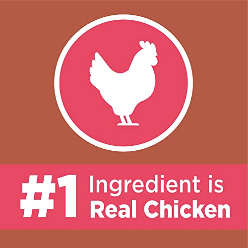 IAMS High-Protein Cat Food with Chicken & Salmon