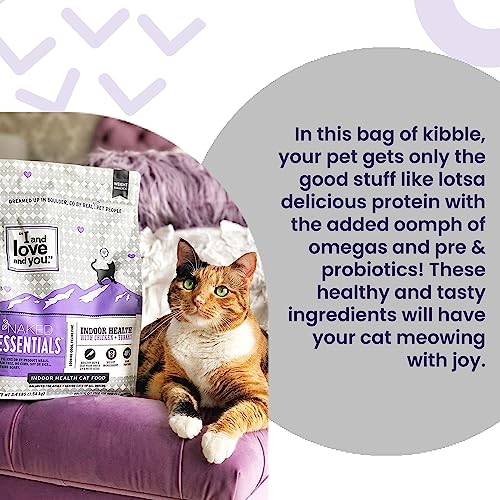 Purina ONE Chicken Blend Cat Food 7lb