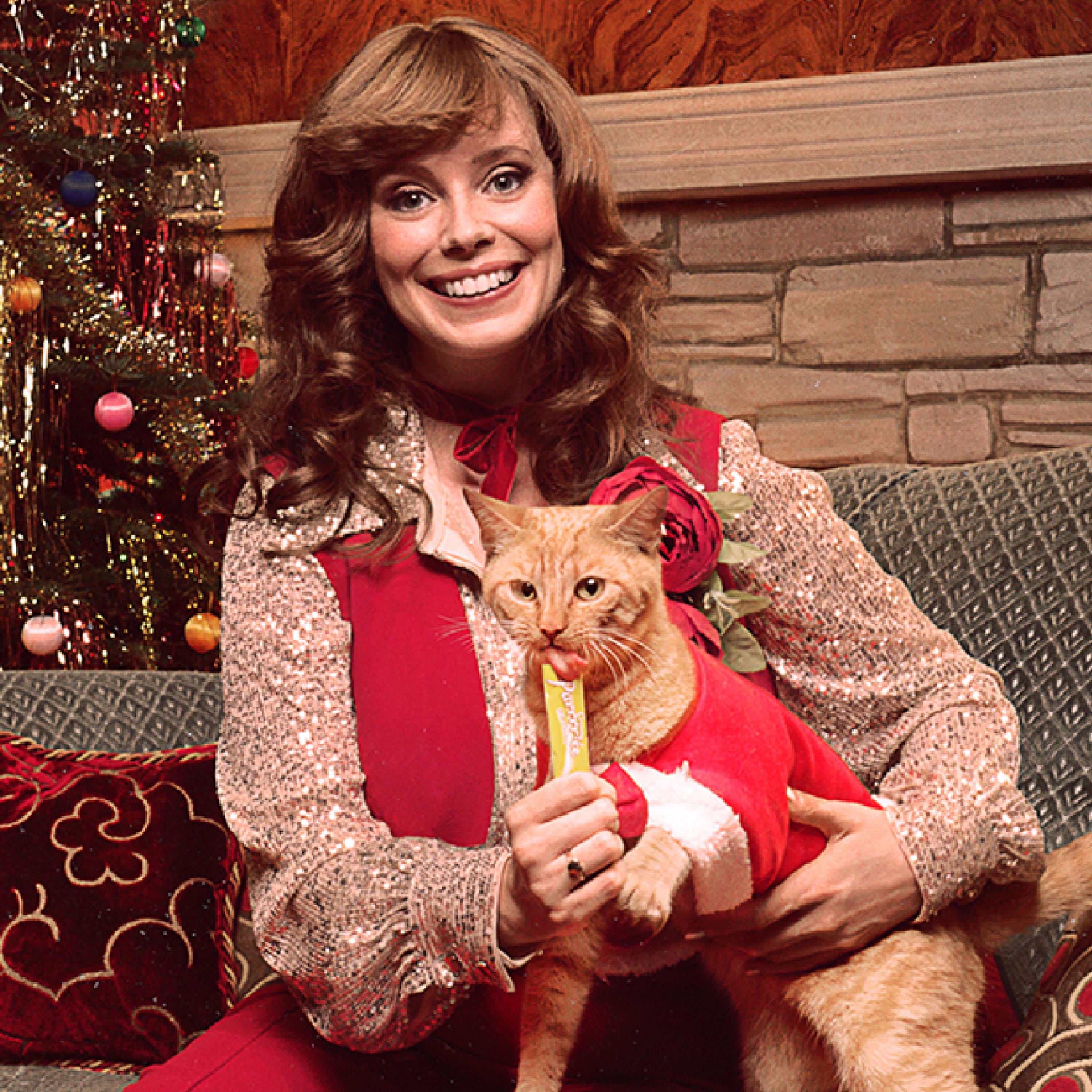 Temptations Chicken Flavor Topper for Cat, 0.425 oz. (4 Count)