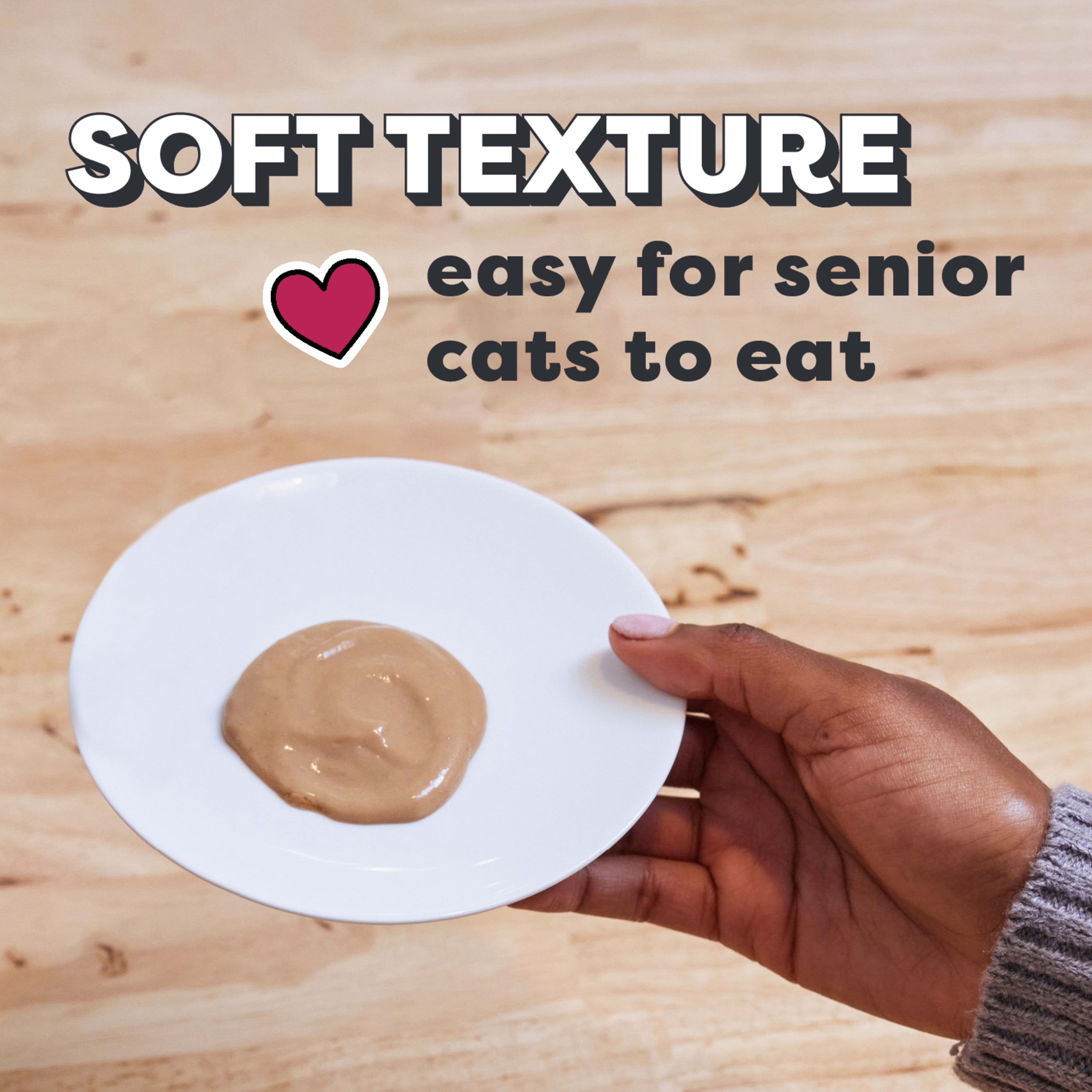 Salmon Flavored Cat Treat Topper (4-Pack)