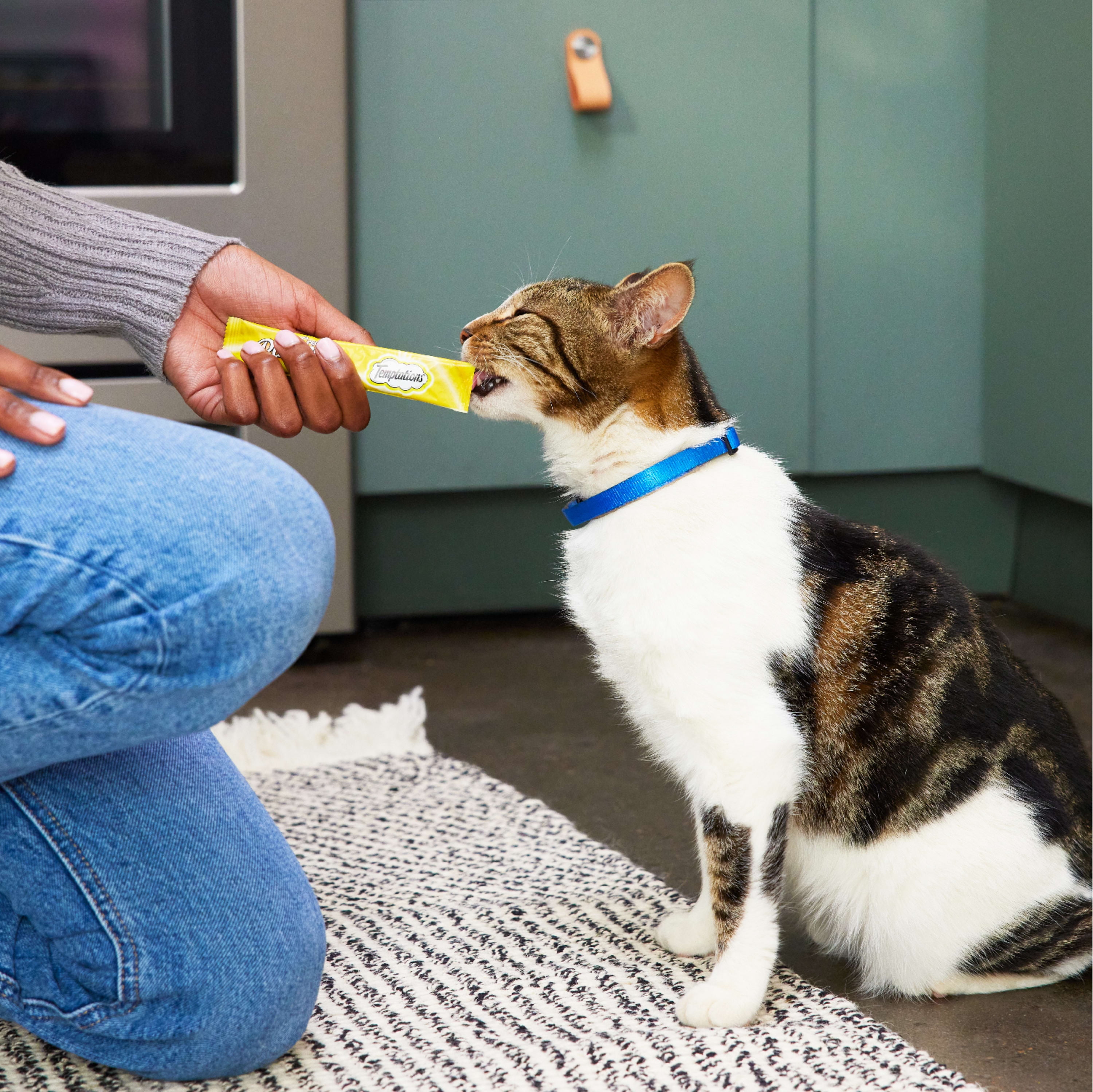 Temptations Chicken Flavor Topper for Cat, 0.425 oz. (4 Count)