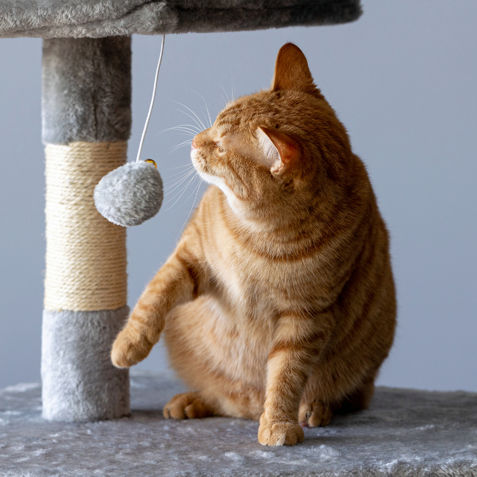 Large Sturdy Cat Tree Activity Center