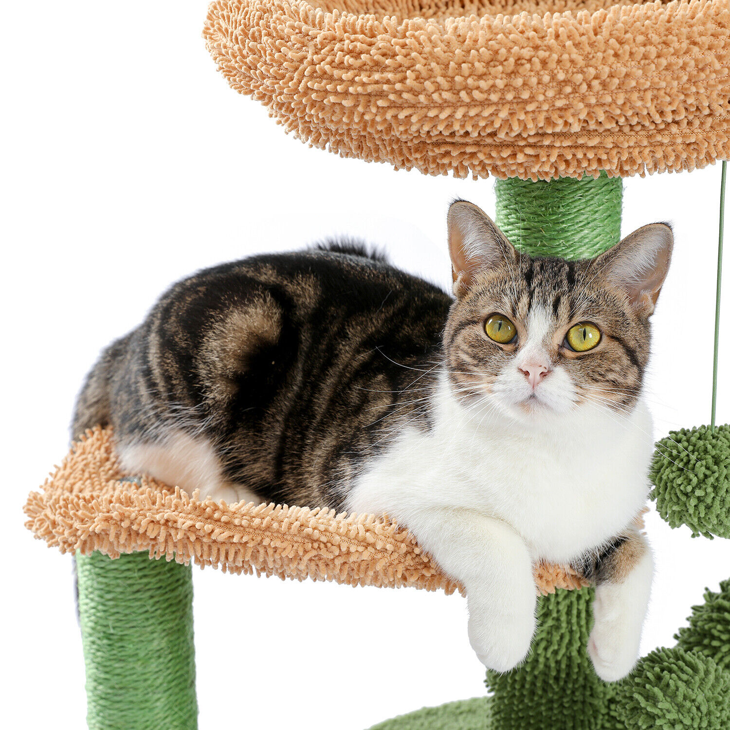 Cactus Cat Tower with Scratching Post Beds