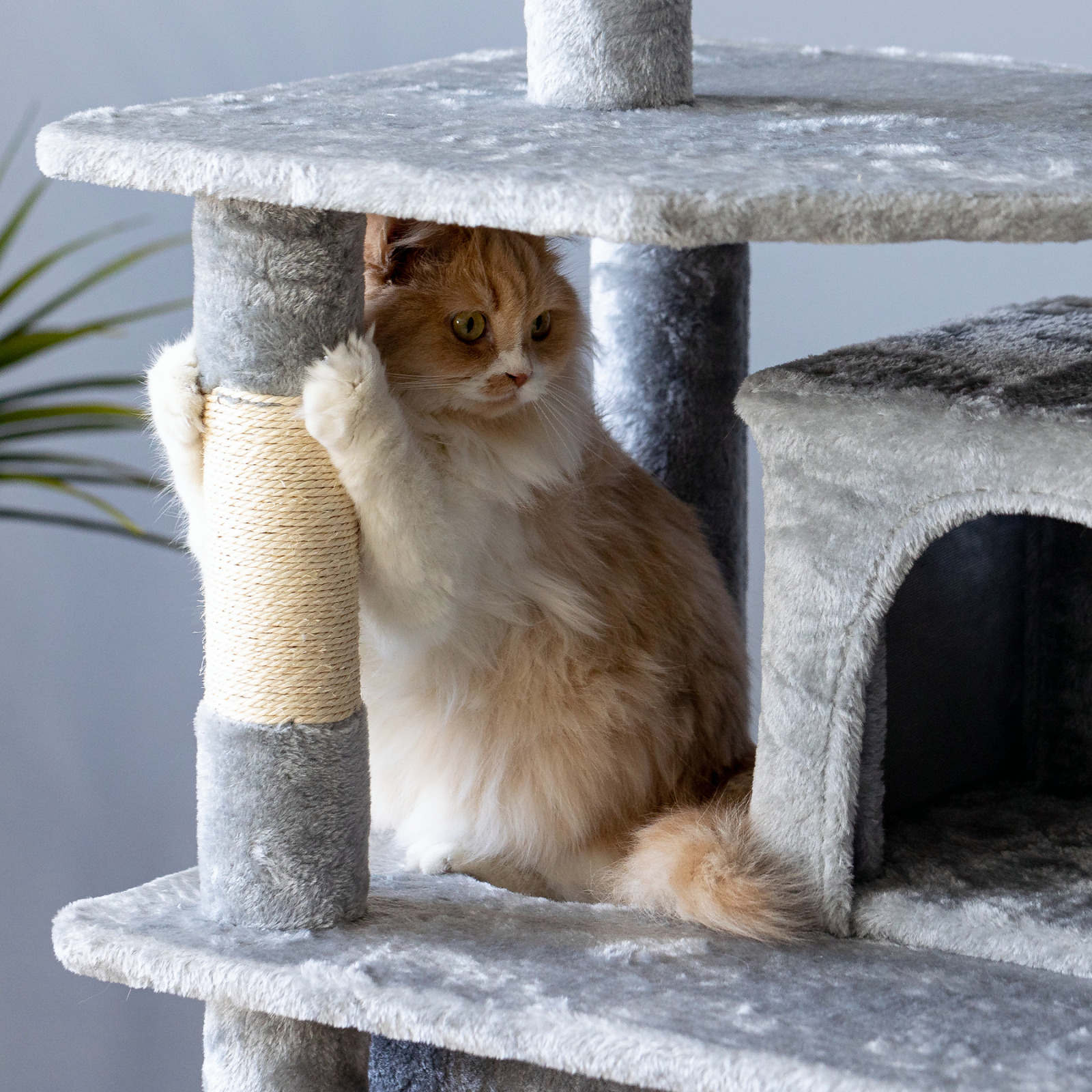Large Sturdy Cat Tree Activity Center