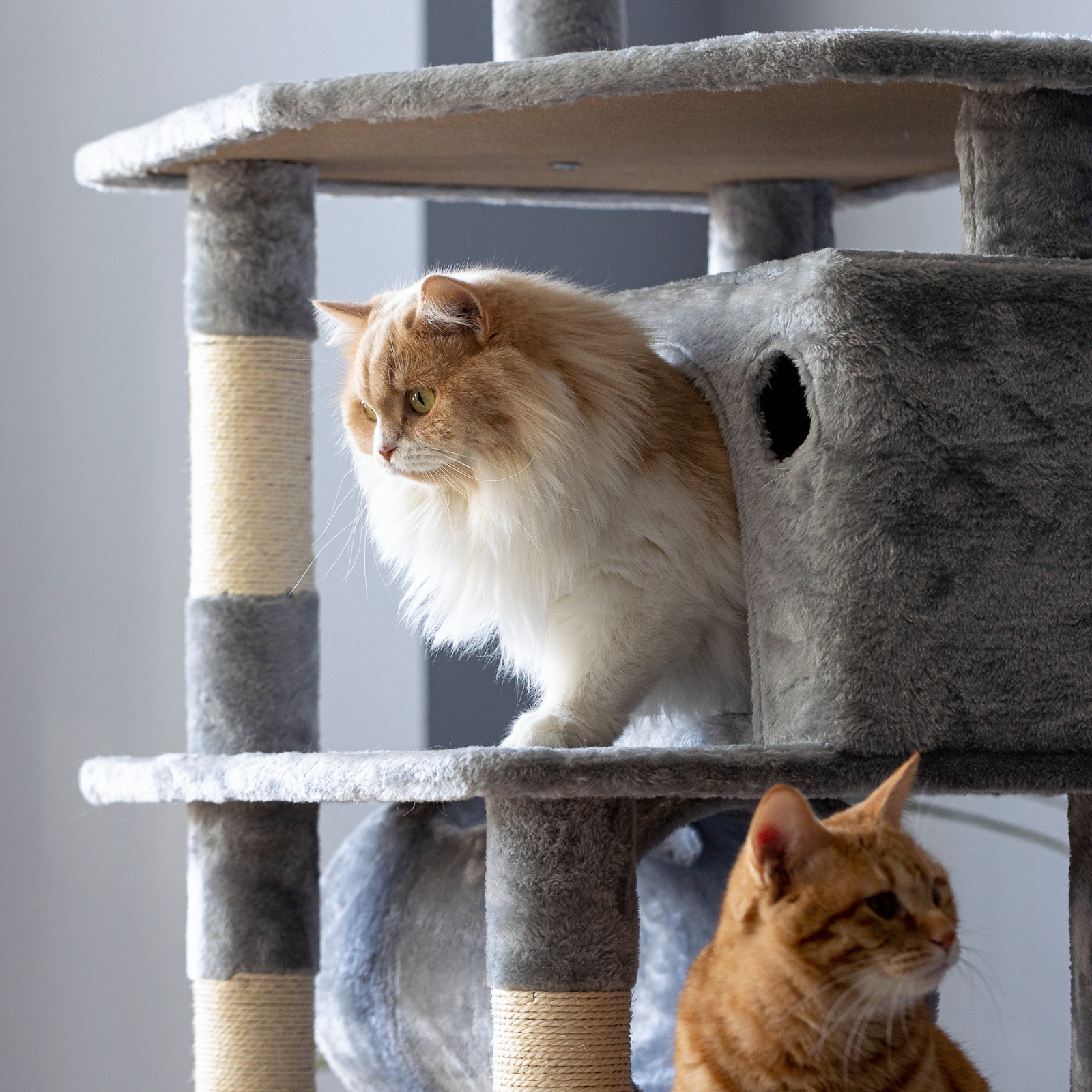 Large Sturdy Cat Tree Activity Center