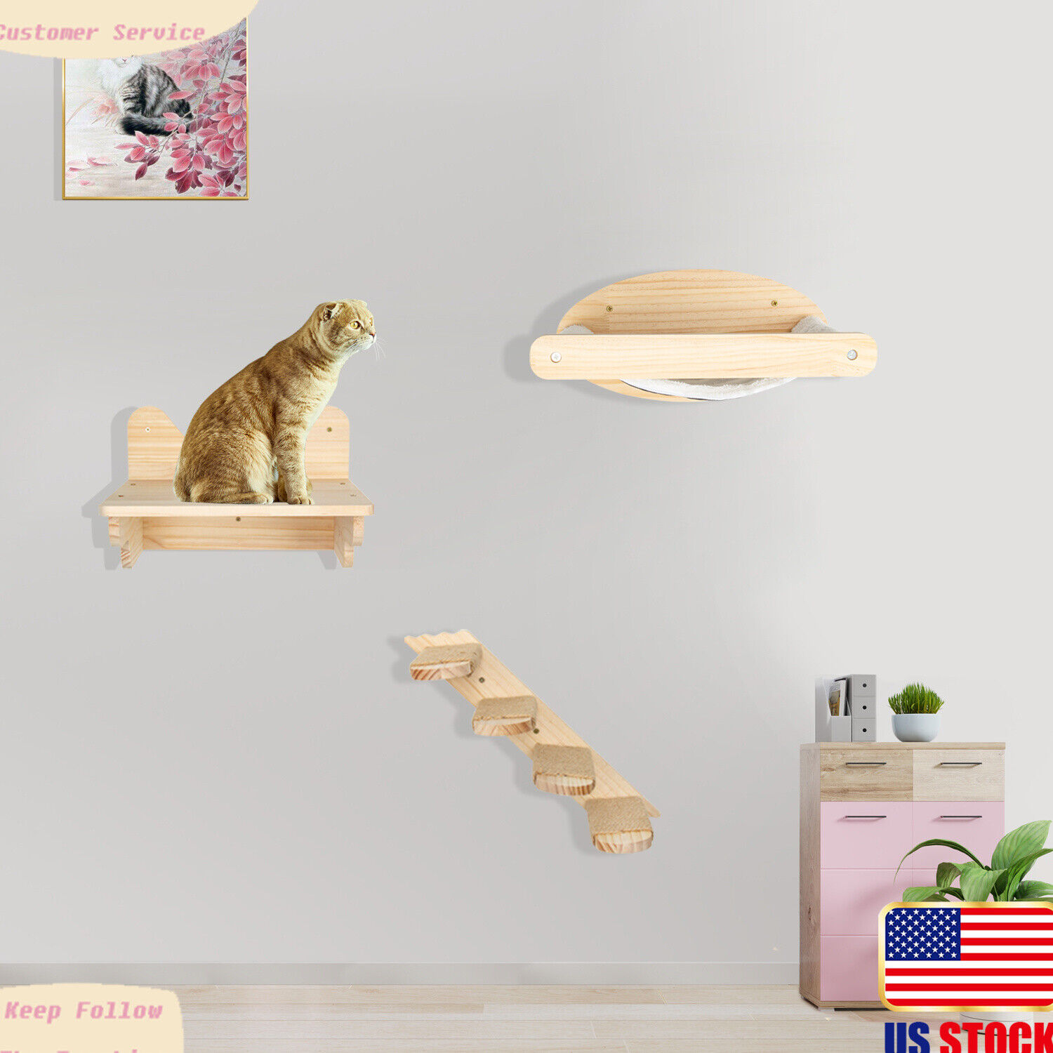Wall-Mounted Cat Hammock with Ladder and Shelves