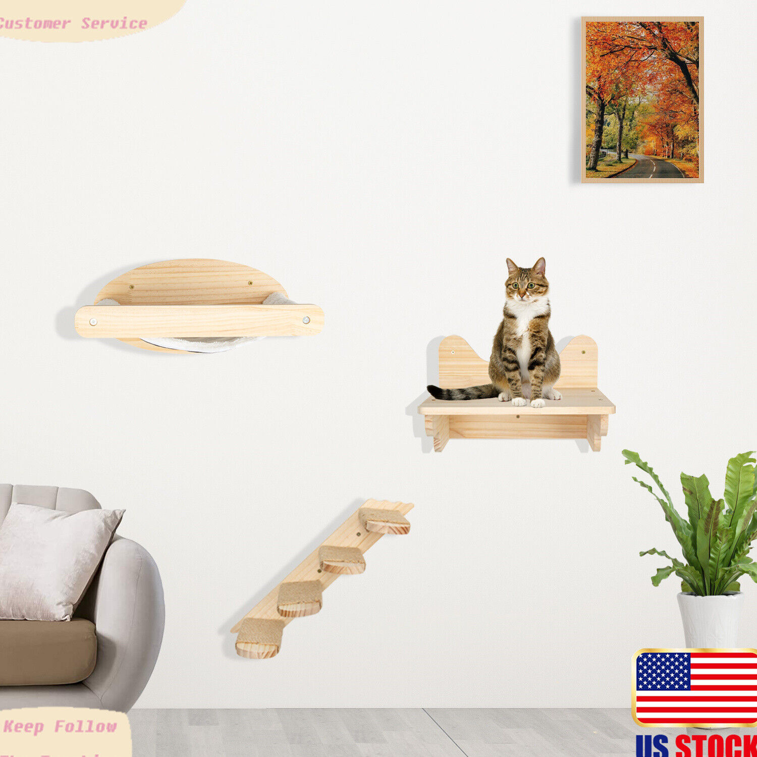 Wall-Mounted Cat Hammock with Ladder and Shelves