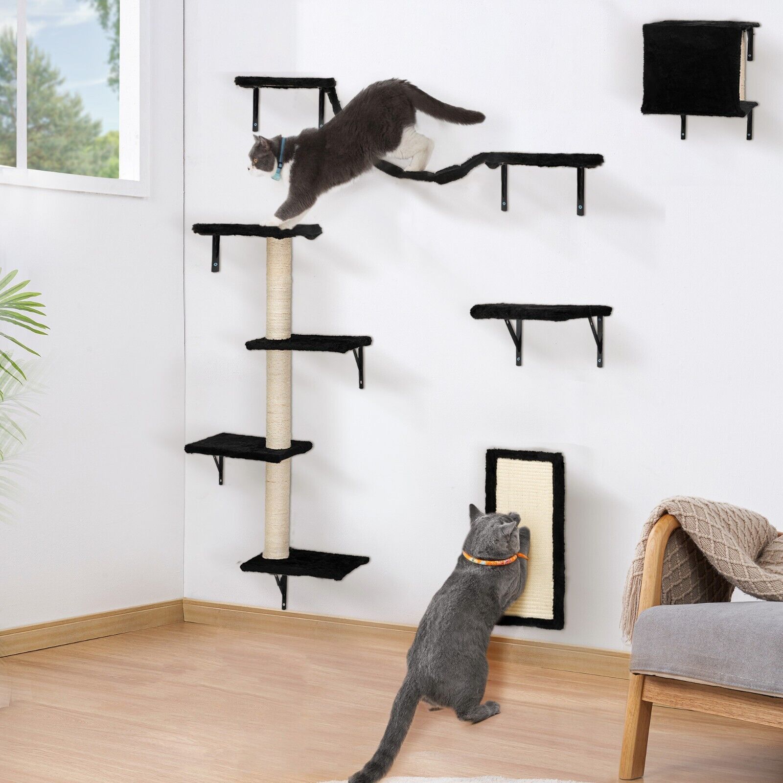 Cat Climbing Set with Shelves and Post