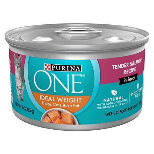Purina ONE Tender Salmon Wet Cat Food - (24 cans)