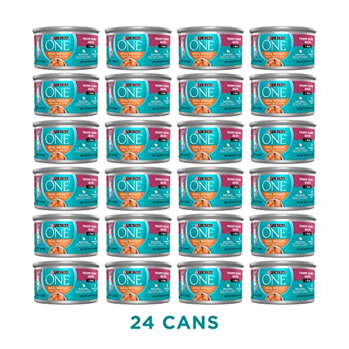 Purina ONE Tender Salmon Wet Cat Food - (24 cans)