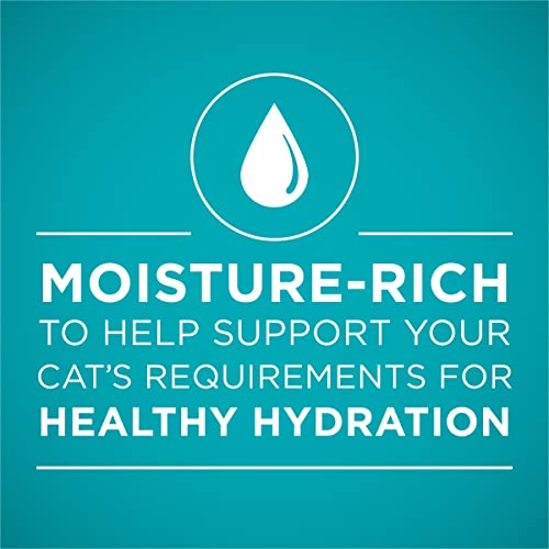 Purina ONE Tender Salmon Wet Cat Food - (24 cans)