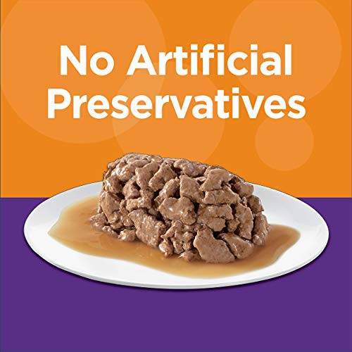 Healthy Grain-Free Wet Cat Food for Kittens