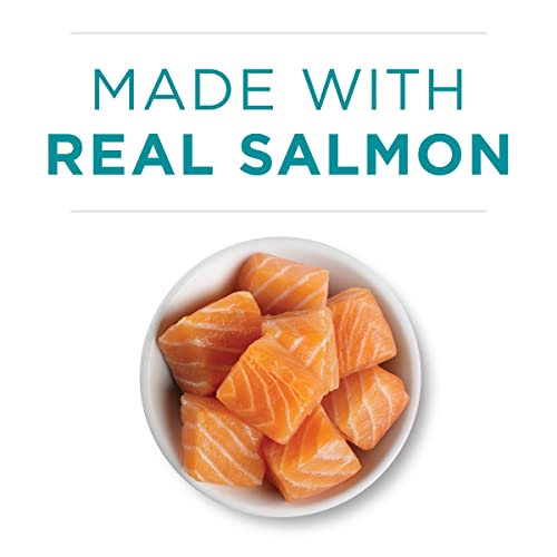 Purina ONE Tender Salmon Wet Cat Food - (24 cans)