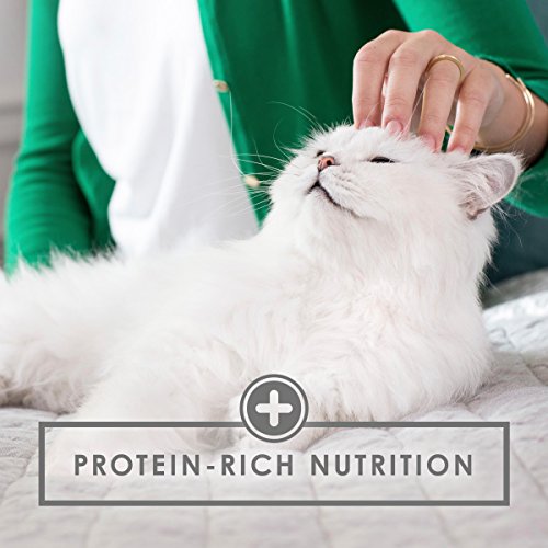 Fancy Feast Cat Food Variety Pack - 24 Cans