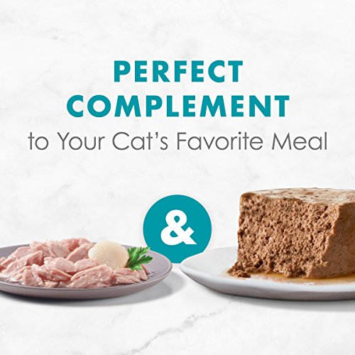 Fancy Feast Tuna Appetizer with Scallop Topper