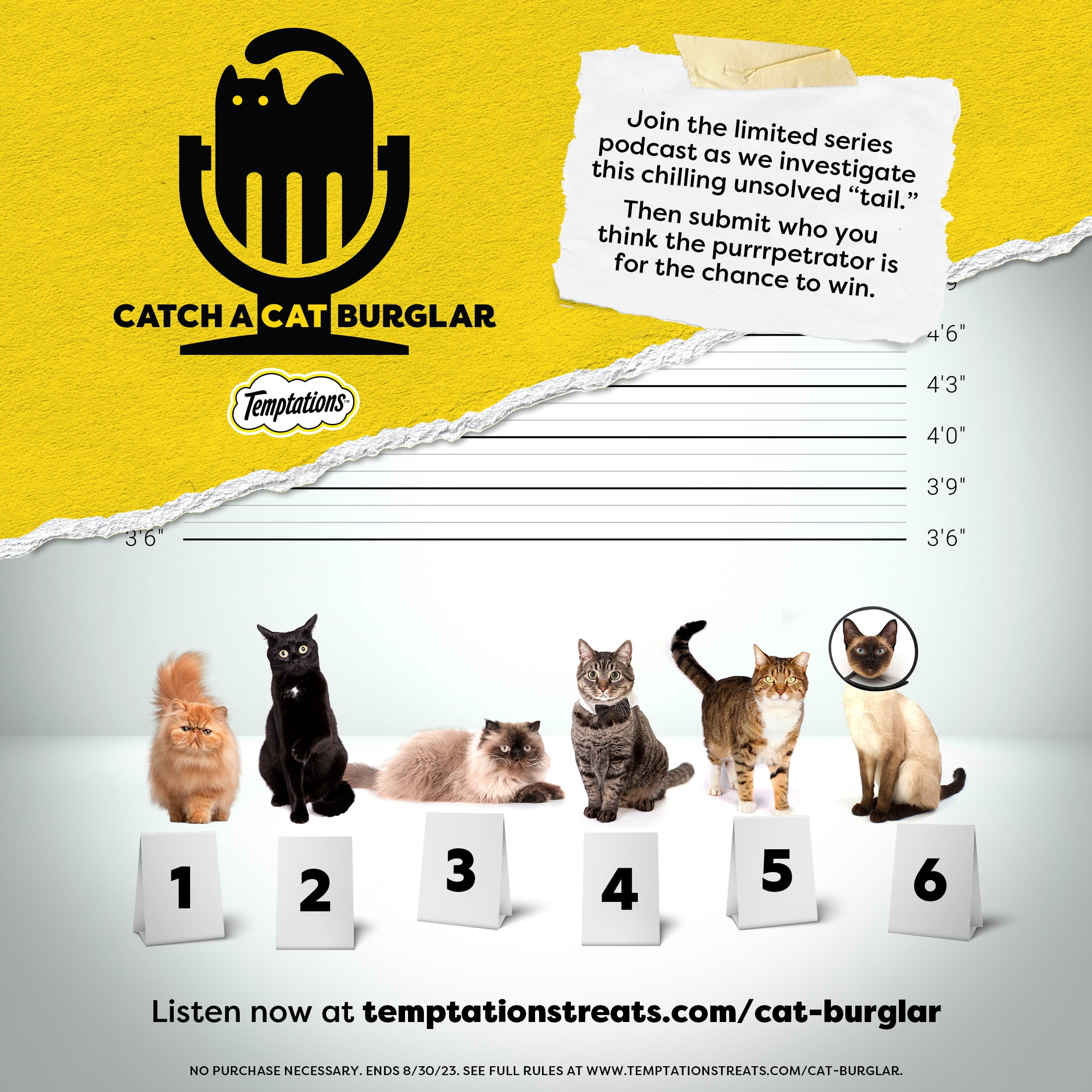 Tempting Turkey Cat Treats, 6.3 oz