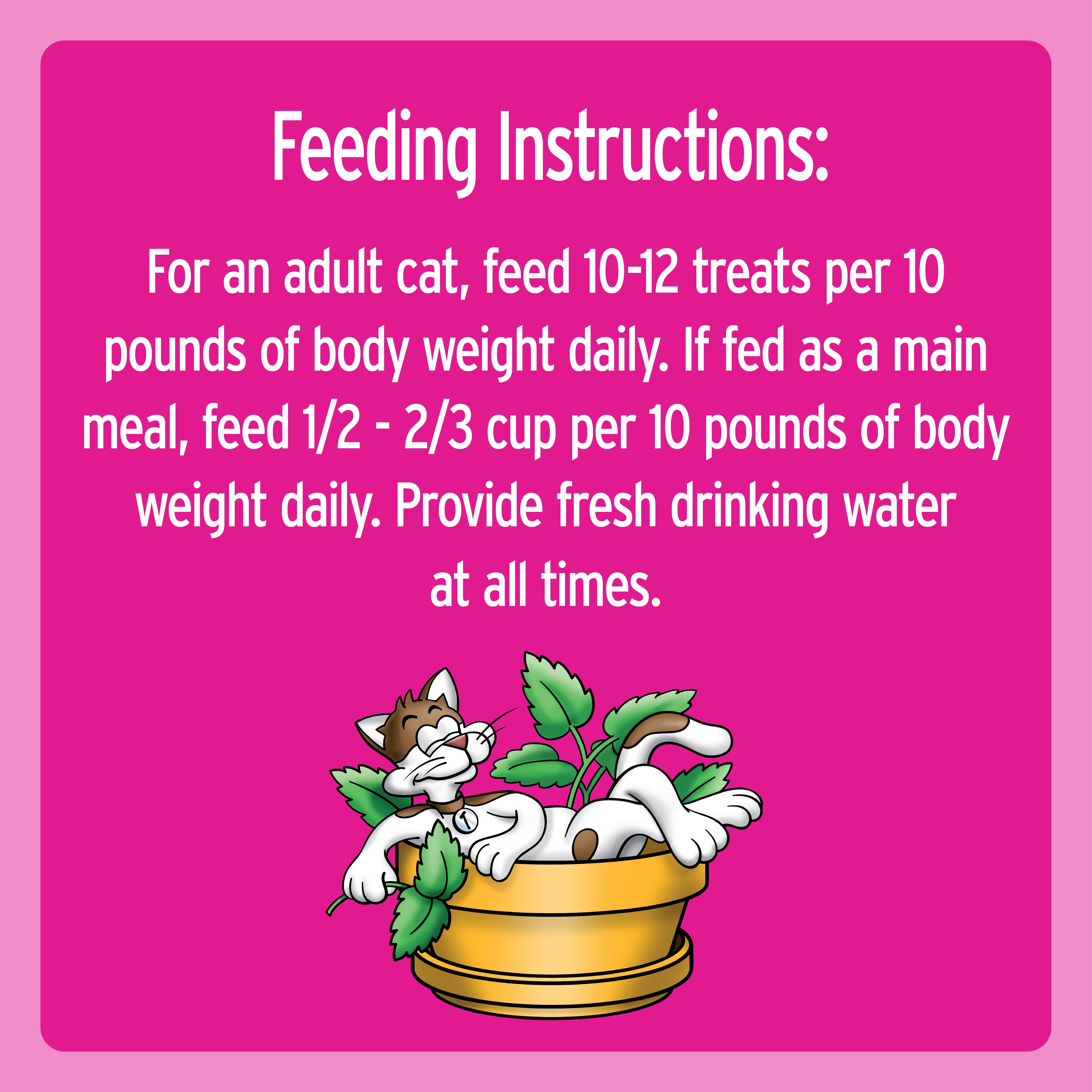 Blissful Catnip TEMPTATIONS Cat Treats, 3 oz