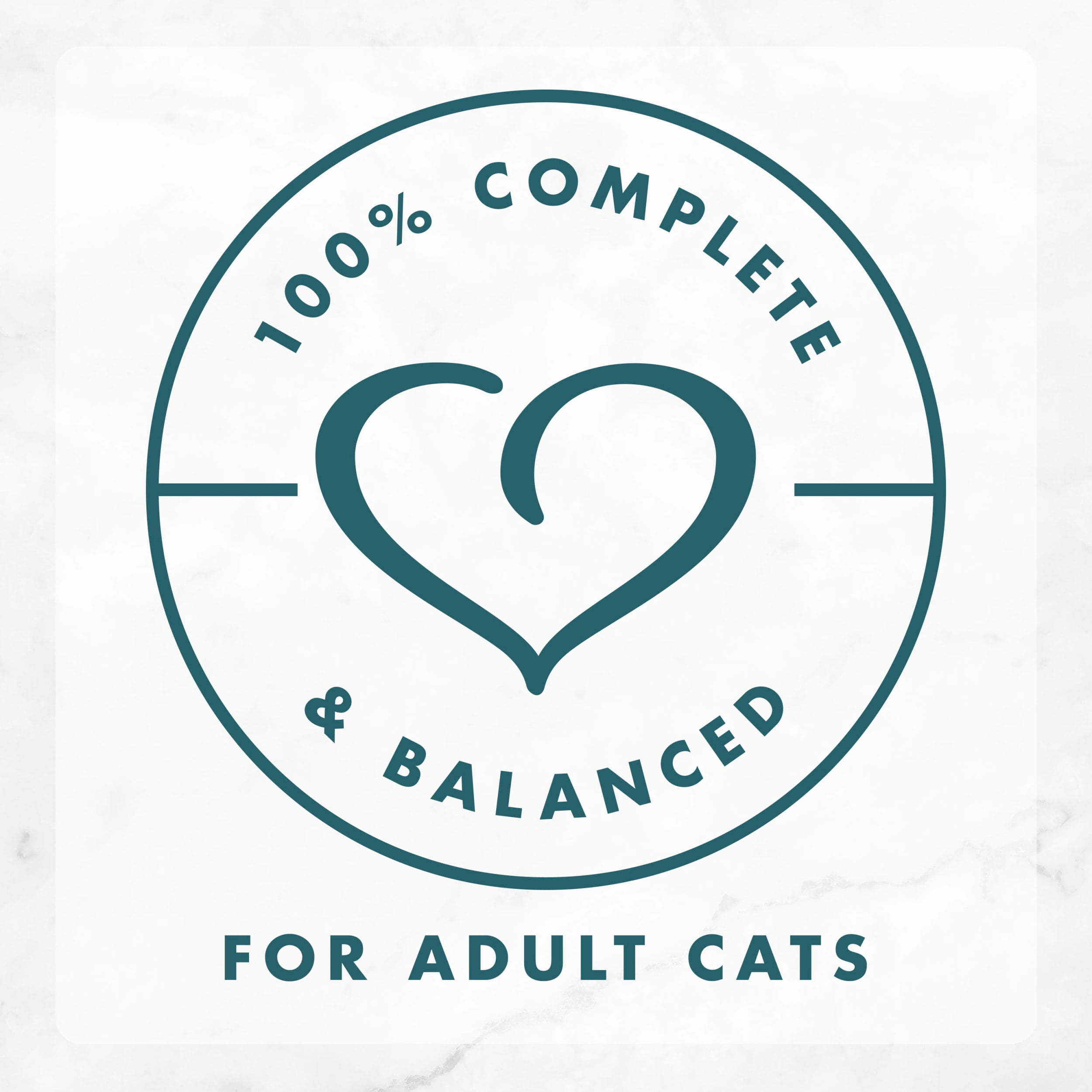 Turkey Gravy Wet Cat Food - 3oz Can