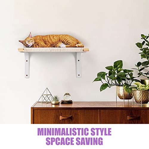 Floating Cat Wall Shelves and Perch for Indoor Cats
