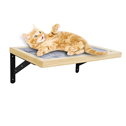 Wooden Cat Wall Furniture for Climbing & Lounging