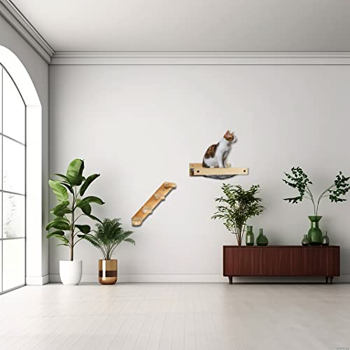 Cat Wall Furniture with Hammock and Scratching Steps
