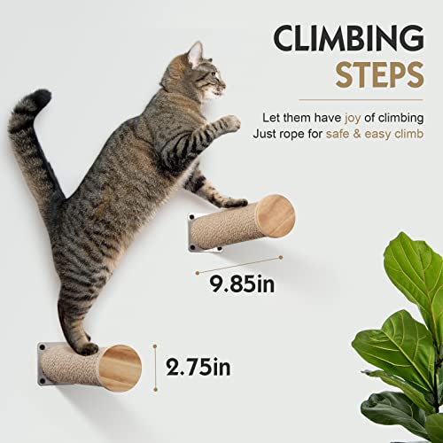 Wall-mounted Cat Hammock with Steps and Shelves