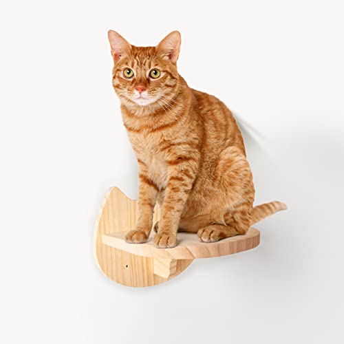 1-Step Wooden Wall Cat Shelf
