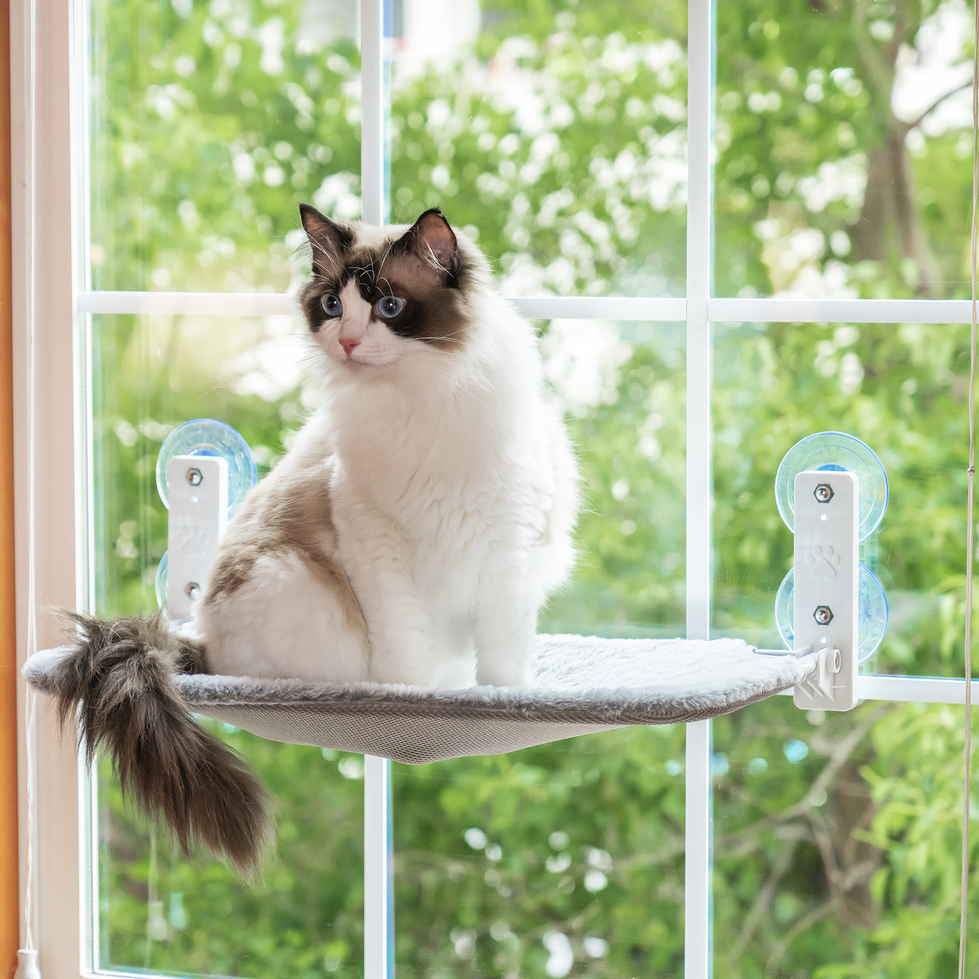 Folding Cat Window Perch with Suction Cups