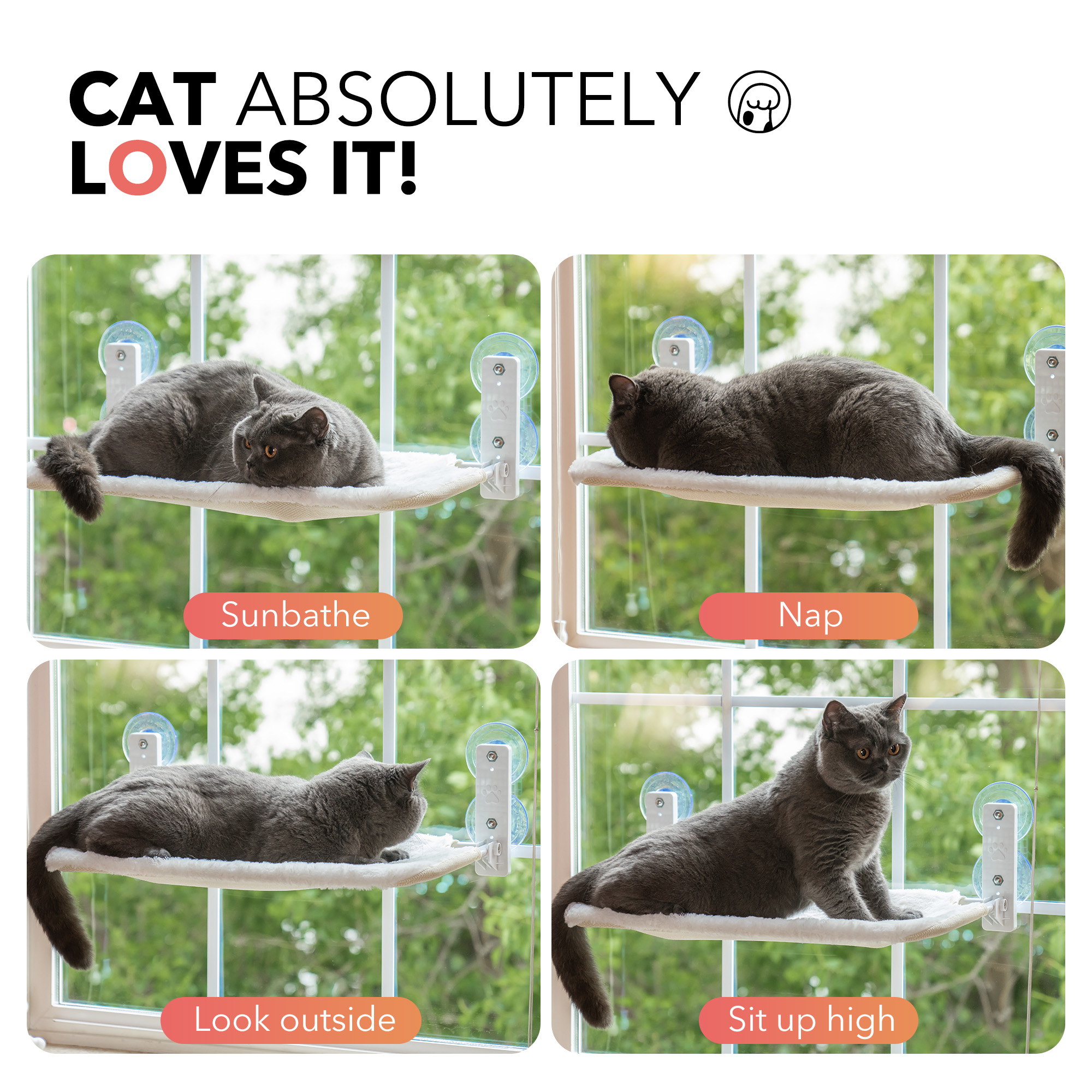 Folding Cat Window Perch with Suction Cups