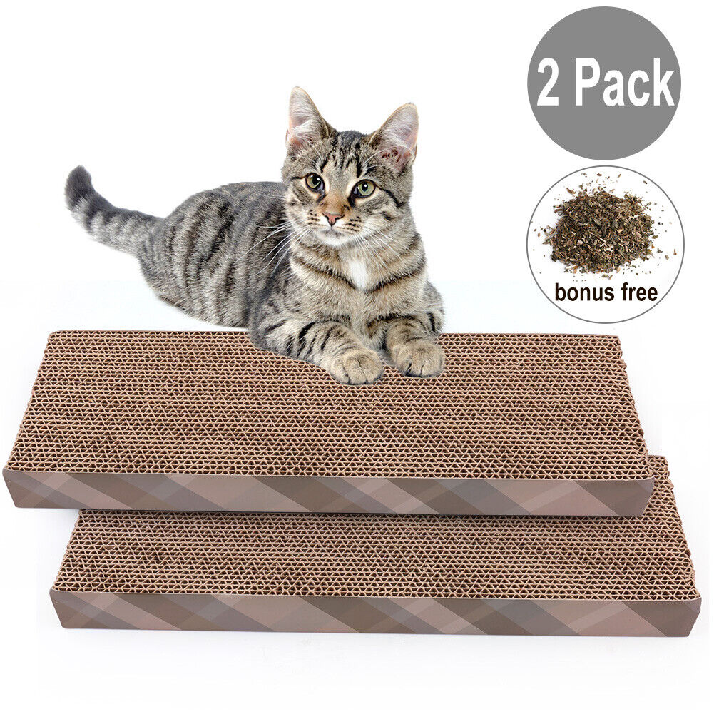 Double Catnip Scratching Pad and Lounge