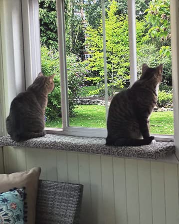 USA-Made Cat Window Perch & Bed