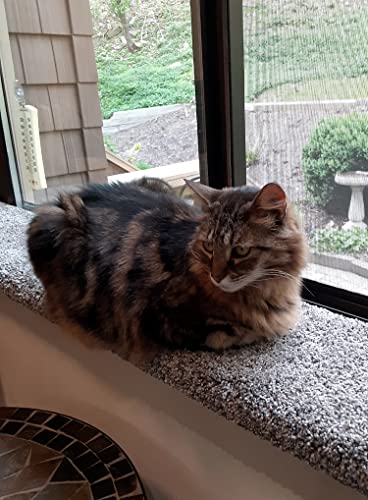 USA-Made Cat Window Perch & Bed