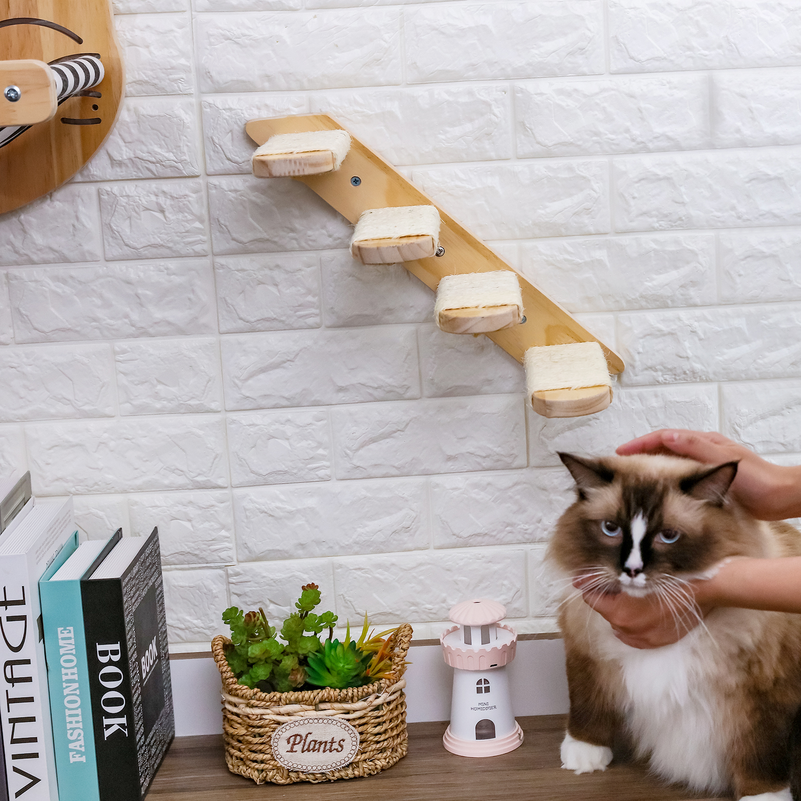 Wall Mount Cat Hammock Shelf Cat Furniture