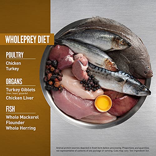 ORIJEN® Original Cat Food: High Protein, Fresh & Raw