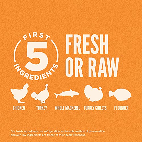 ORIJEN® Original Cat Food: High Protein, Fresh & Raw