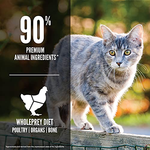 ORIJEN® Original Cat Food: High Protein, Fresh & Raw