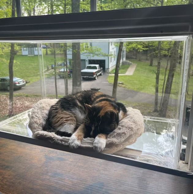 Window Catio - Custom Fit (24"-36")
