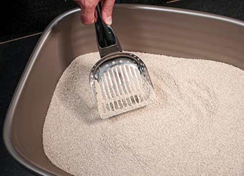Stainless Steel Cat Litter Scoop: RSVP Endurance