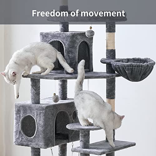 Multi-Level Cat Tower for Large Cats