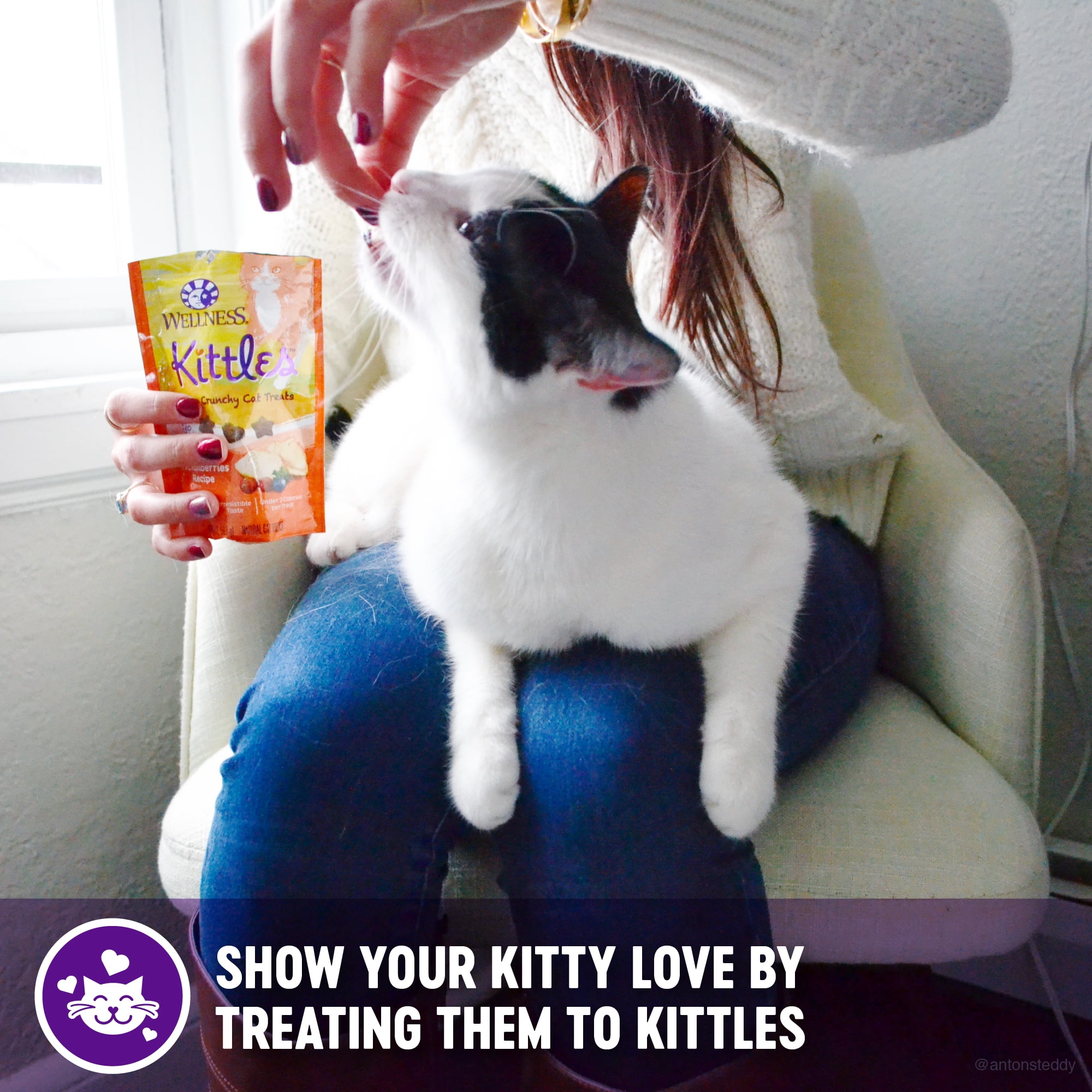 Grain-free cat treats: Wellness Kittles Chicken & Cranberry