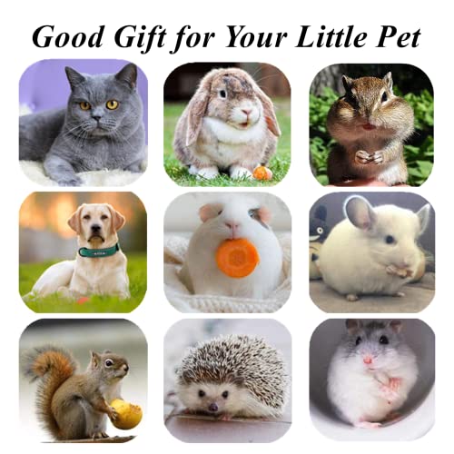 Silvervine chew sticks for Cats - 10pack