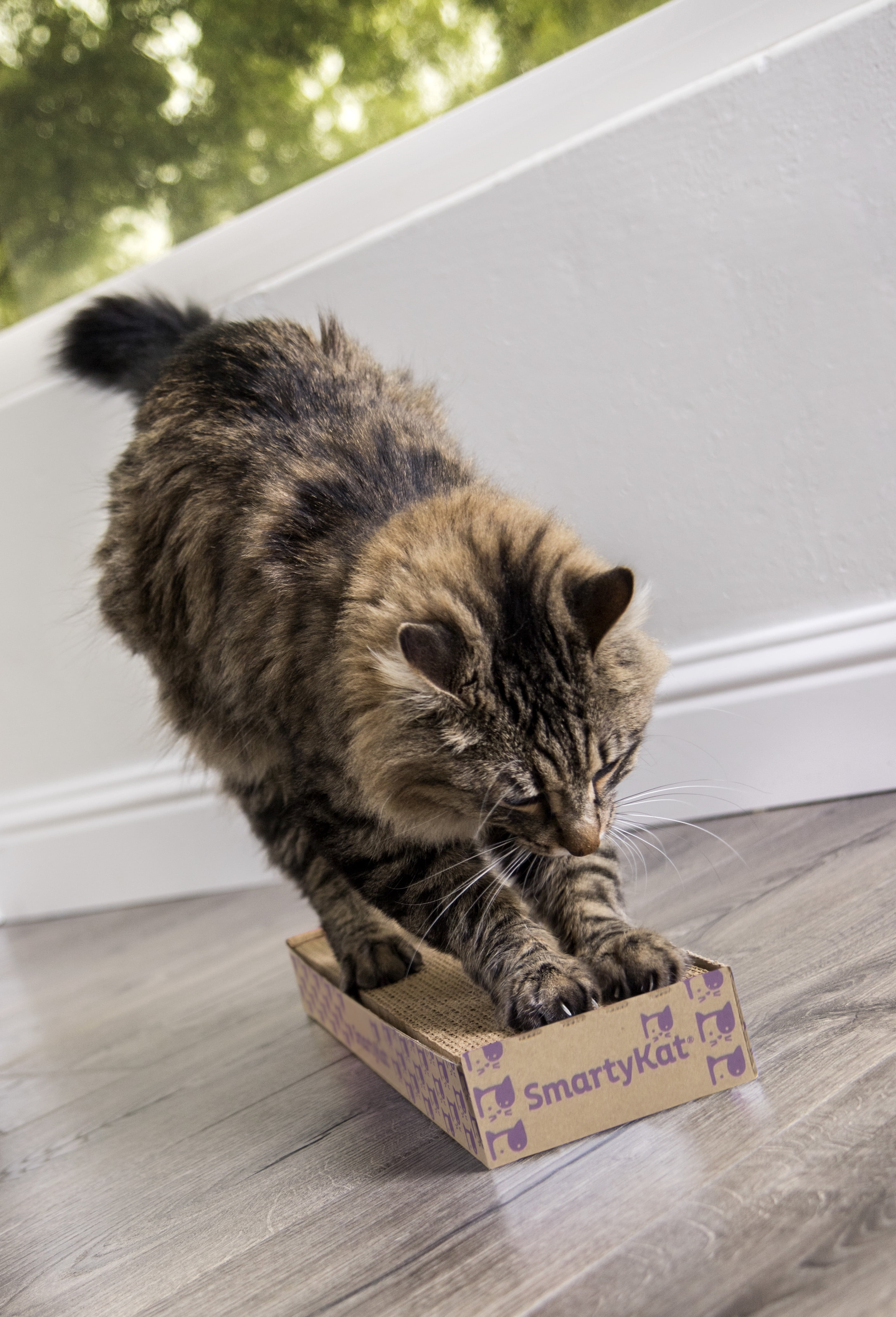 Catnip-Infused SmartyKat Super Scratcher Pad