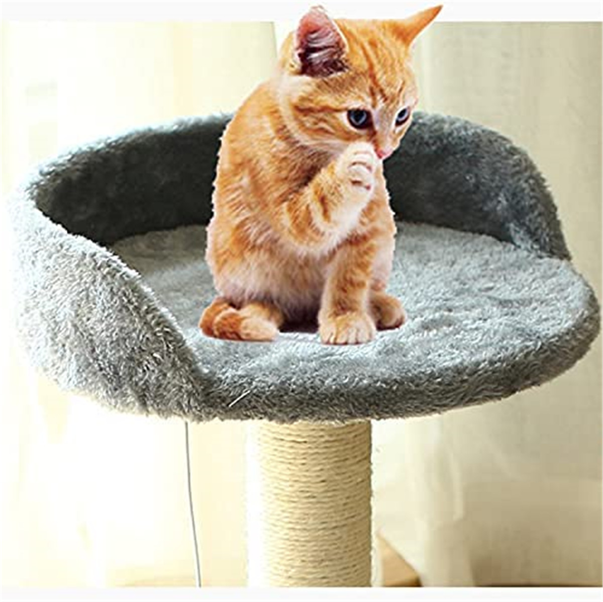 Small Cat Tree with Scratching Post Tower
