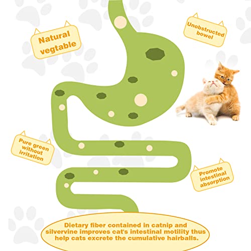 Catnip and Silvervine Wall Toys, 4 Pack