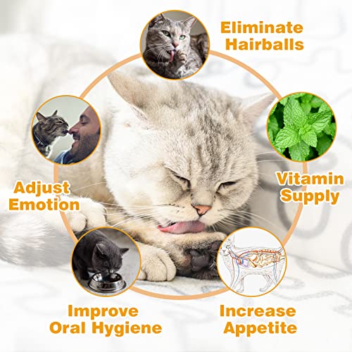 Catnip and Silvervine Wall Toys, 4 Pack