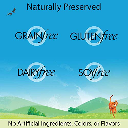 Emerald Pet Catnip Dental Treats (6pk)