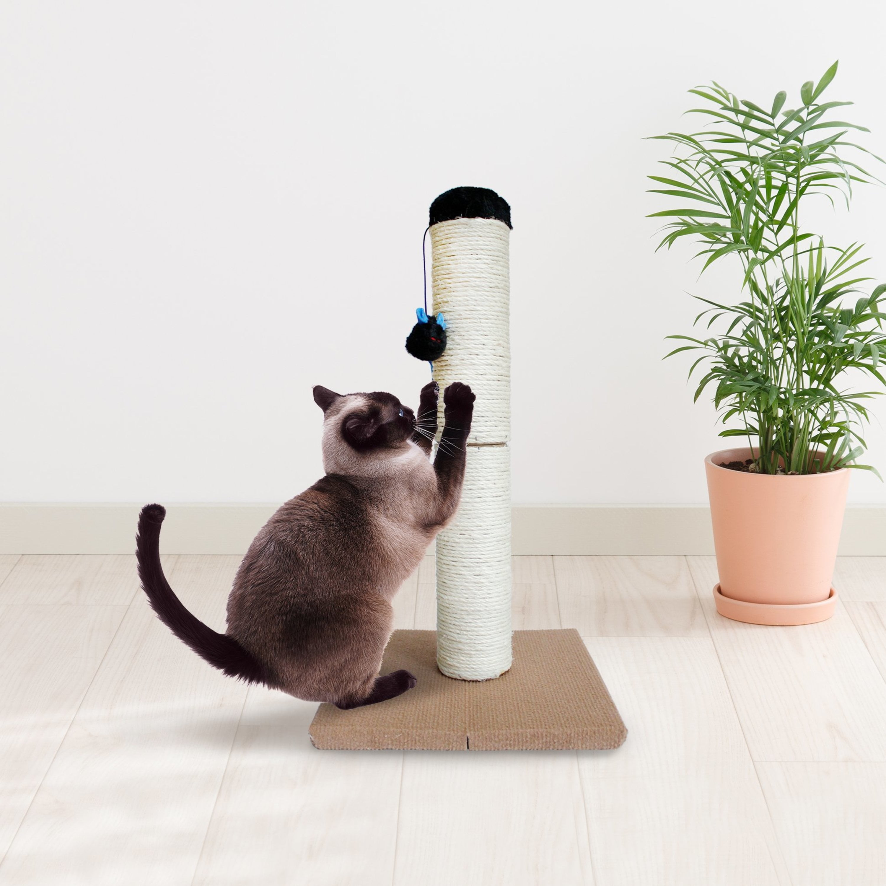 Indoor Cat Scratching Post - 22