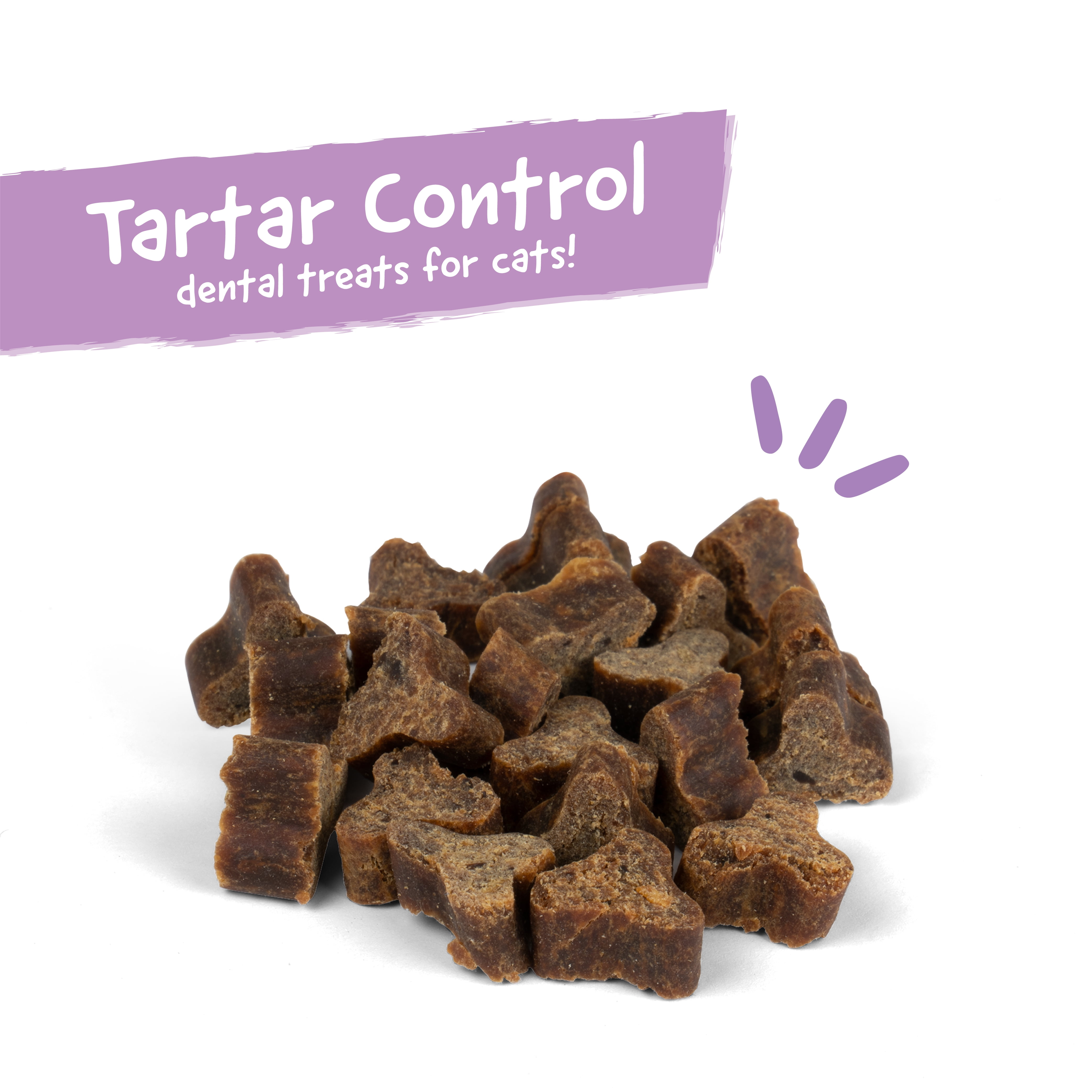 Arm & Hammer Cat Dental Yummies 2.5 oz